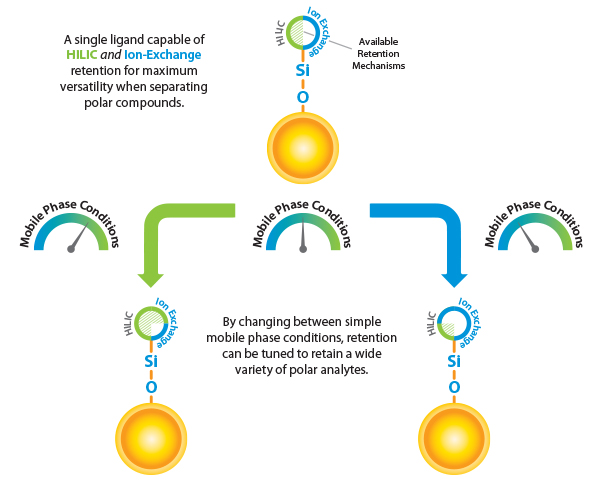 Polarx diagram