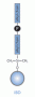 structure_hplc_ibd