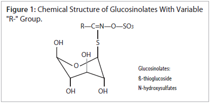 fff-figure1